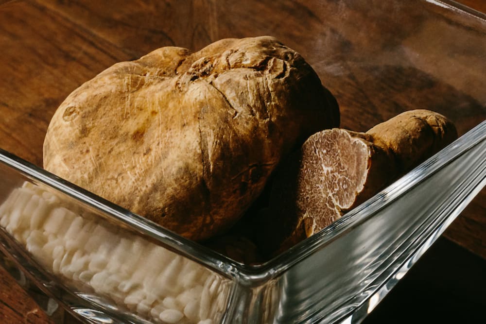 White truffles at 208 Duecento Otto Hong Kong
