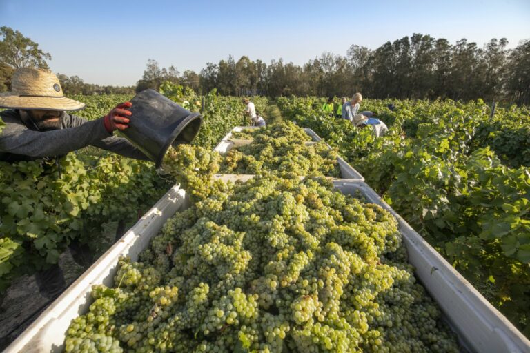 Foodie and , Hong Kong