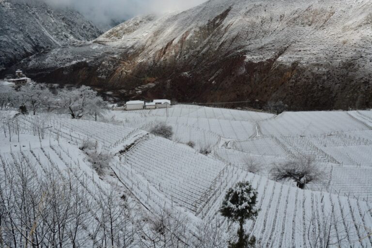 Foodie and , Hong Kong