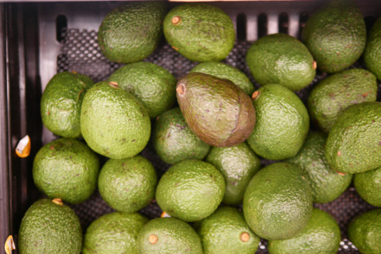 Foodie and , Hong Kong