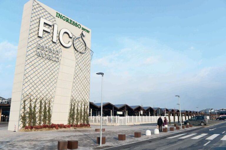 Foodie and , Hong Kong