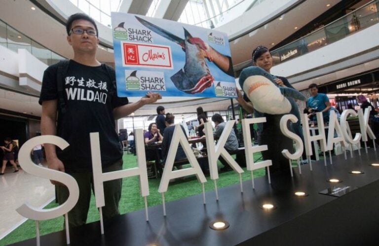 Foodie and , Hong Kong