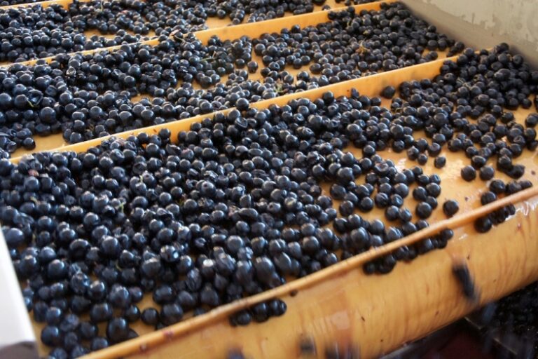 Foodie and , Hong Kong