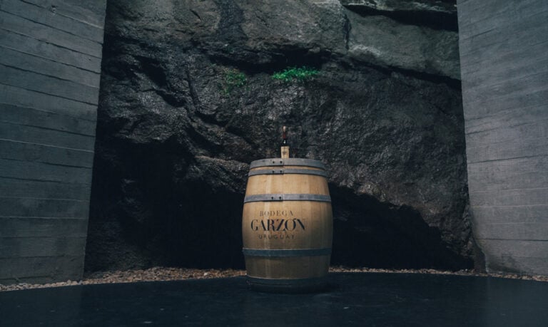 Foodie and , Hong Kong