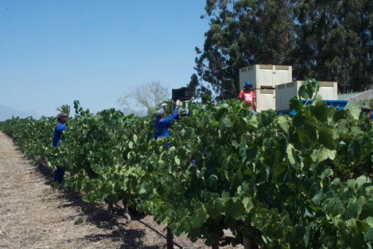 Foodie and , Hong Kong