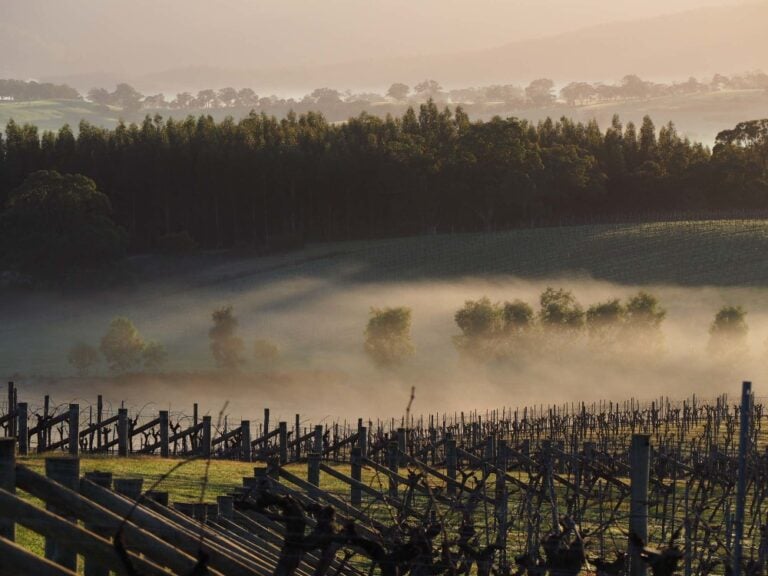 Foodie and , Hong Kong