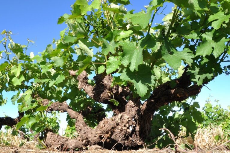 Foodie and , Hong Kong