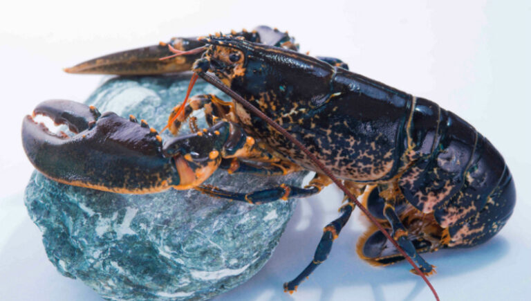 Foodie and , Hong Kong