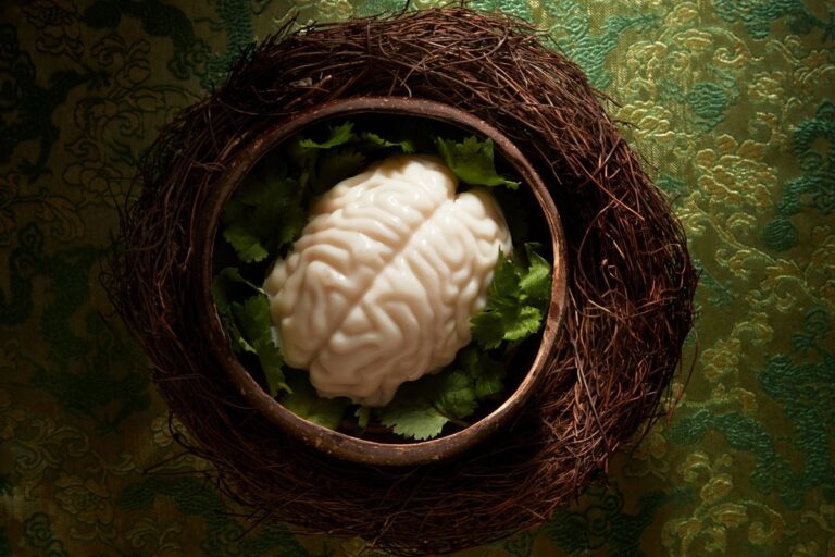 Jing monkey brain dish admiralty restaurant