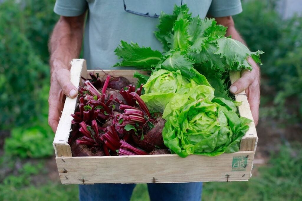 farms Hong Kong organic fruit and vegetables