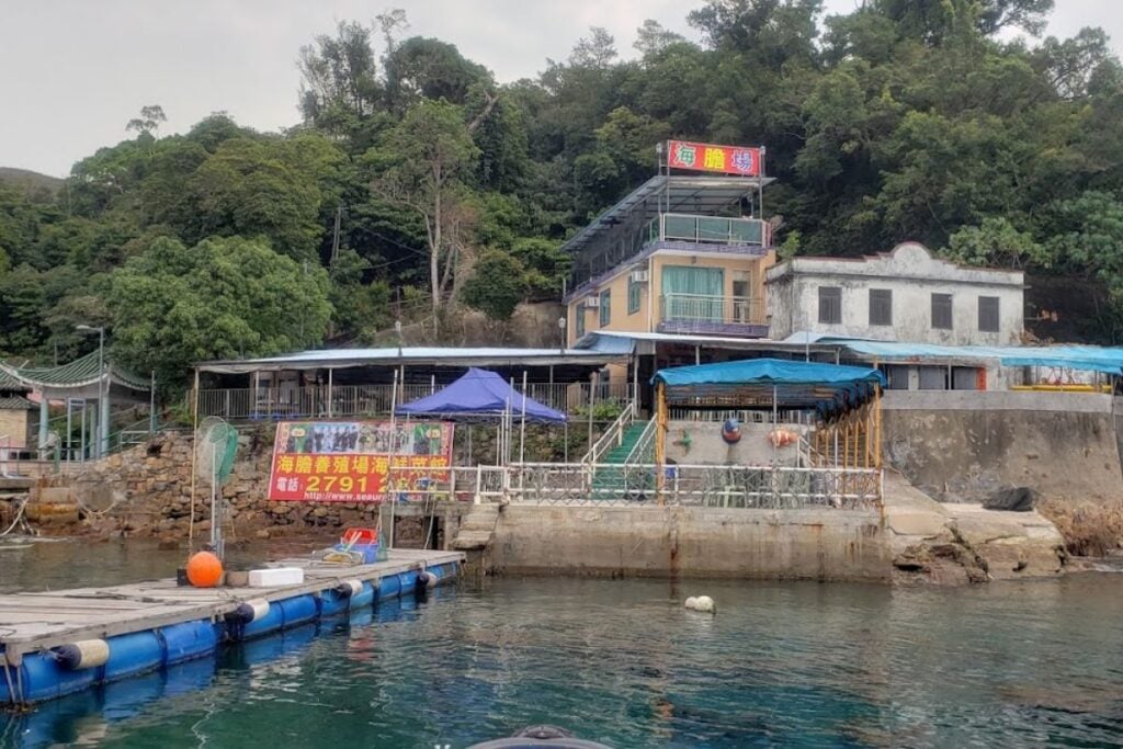 The best restaurants in Sai Kung, the New Territories’ gem for gourmands 15 Sea Urchin Breeding Centre best restaurants in Sai Kung