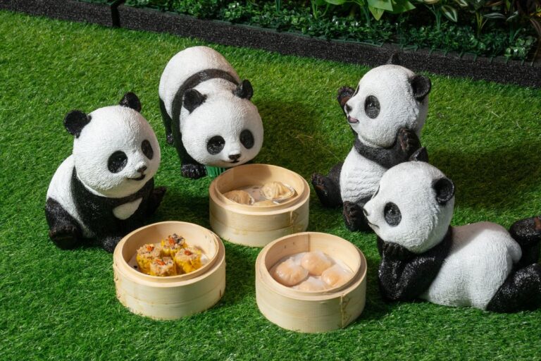 Veggie Kingdom pandas enjoying dim sum